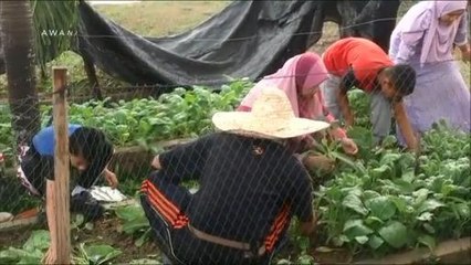 #AWANIJr: Projek Agrotani Murid Pendidikan Khas STARS 2018