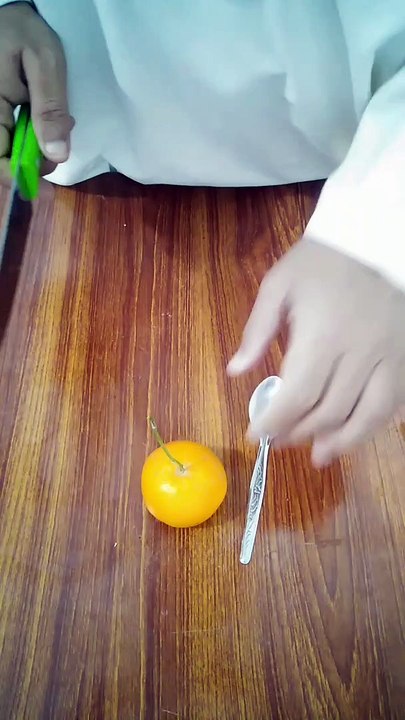 Experiment mobile torch and orange.