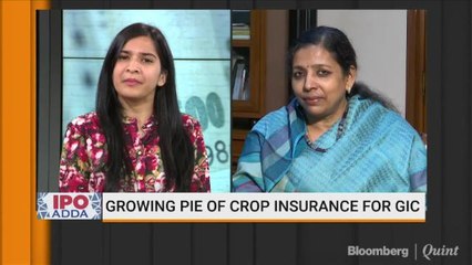 India's Third Largest IPO Now Open