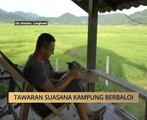 AWANI State [Kedah & Perlis]: Tawaran suasana kampung berbaloi