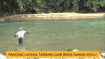 Bicara Borneo: Pancing Layang tarikan luar biasa Sungai Kiulu