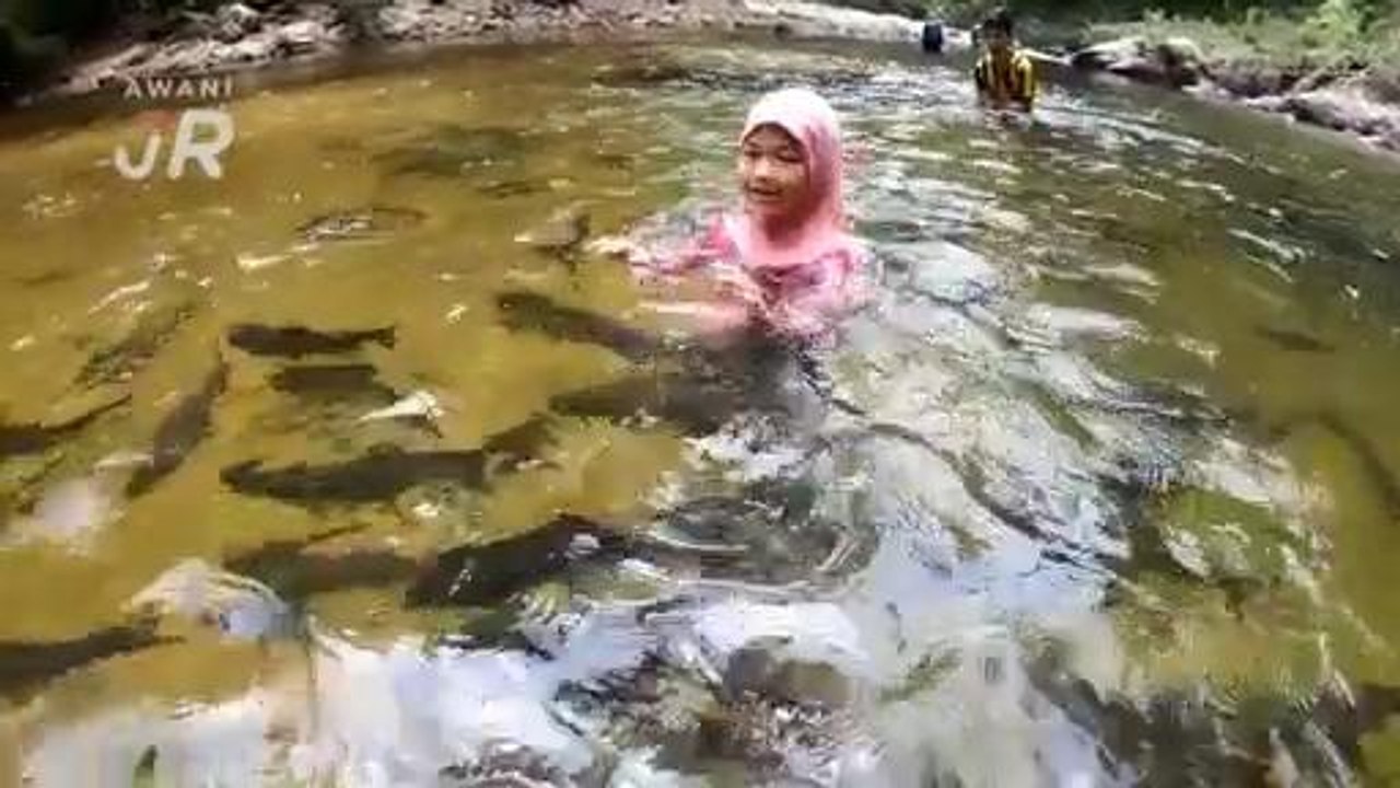 #AWANIJr: Alya & Kisah Santuari Kelah di Tasik Kenyir