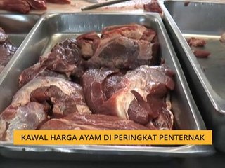 Kawal harga ayam di peringkat penternak