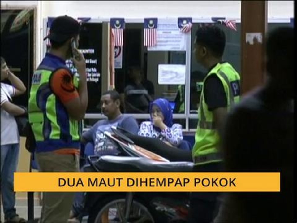 Dua maut dihempap pokok