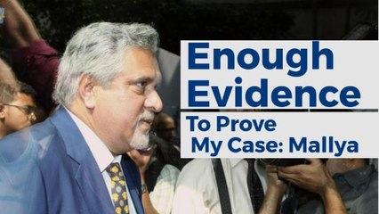Mallya Gets Bail In Extradition Case