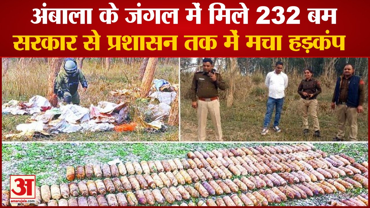 232 Old Bomb Shells Found In Ambala Forest|अंबाला के जंगल में मिले 232 बम, मचा हड़कंप|Begana Canal