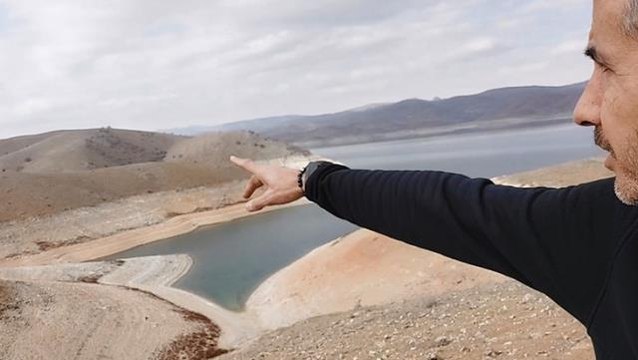 Kurtlarla birlikte gezen çoban köpekleri, köylüleri kara kara düşündürüyor: Biz şimdi size koyunları nasıl emanet edeceğiz?