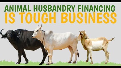 V Vaidyanathan On Difficulties In Rural Finance