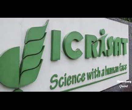 Ending India’s Pulses Problem