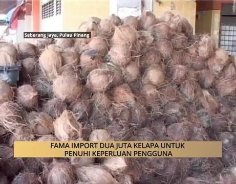 AWANI State [Pulau Pinang]: FAMA import dua juta kelapa untuk penuhi keperluan pengguna
