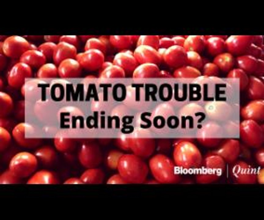 Tomato Prices Fall