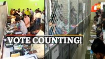 Odisha Panchayat Elections: First Phase Counting Underway For 315 ZP Zones