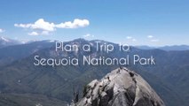 Sequoia National Park Attractions | Giant Forest | Kings Canyon | Sequoia National Park Hiking