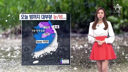 [날씨]밤까지 요란한 비…내일 공기 깨끗