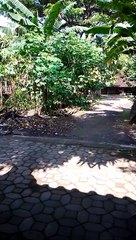 Suasana di pagi hari