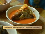 AWANI State [Pahang]: Ikan patin nadi kehidupan penduduk Termeloh