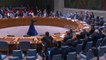 Ukraine war: Russia vetoes UN Security Council motion 'deploring' invasion