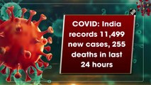 India records 11,499 new Covid cases, 255 deaths in last 24 hours