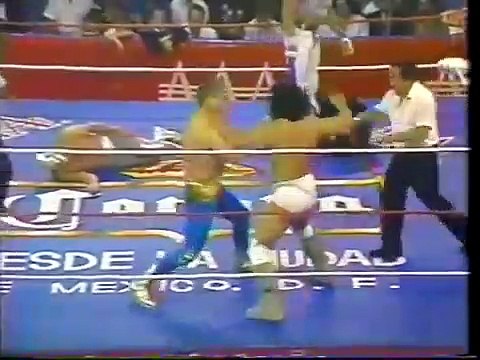 Hijo del santo & Octagon & Perro Aguayo vs Heavy Metal & Mascara año 2000 & Jerry Estrada