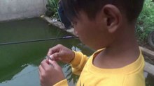 BOCIL MANCING IKAN - MANCING IKAN NILA