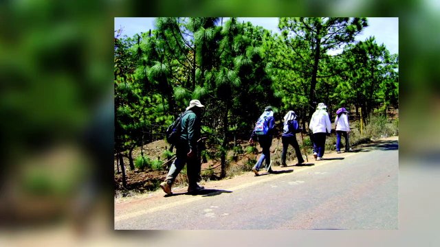 Autorizan fiestas religiosas, tendrán protocolos estrictos | CPS Noticias Puerto Vallarta
