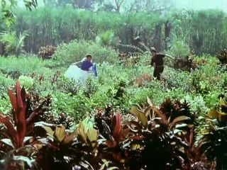 Nandhini Hot Navel Song