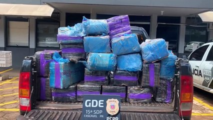 GDE da Polícia Civil realiza grande apreensão de maconha em Cascavel