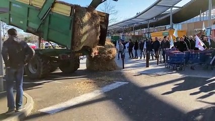 Les agriculteurs devant le Grand Moun de Mont-de-Marsan ce samedi 26 février.