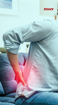 ¿Sienten dolor los insectos?