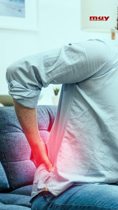 ¿Sienten dolor los insectos?