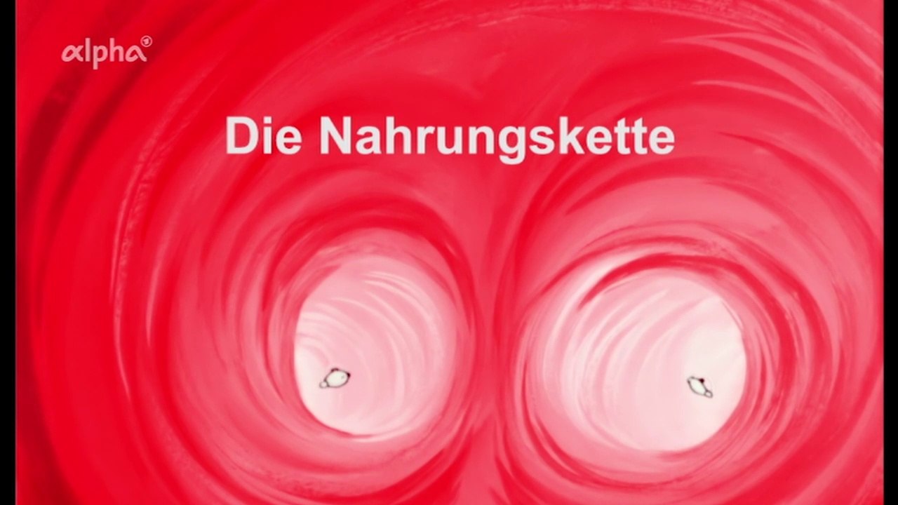 Es war einmal ... das Leben - 24. Die Nahrungskette