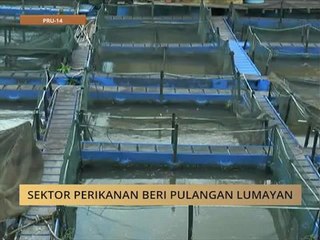 Sektor perikanan beri pulangan lumayan