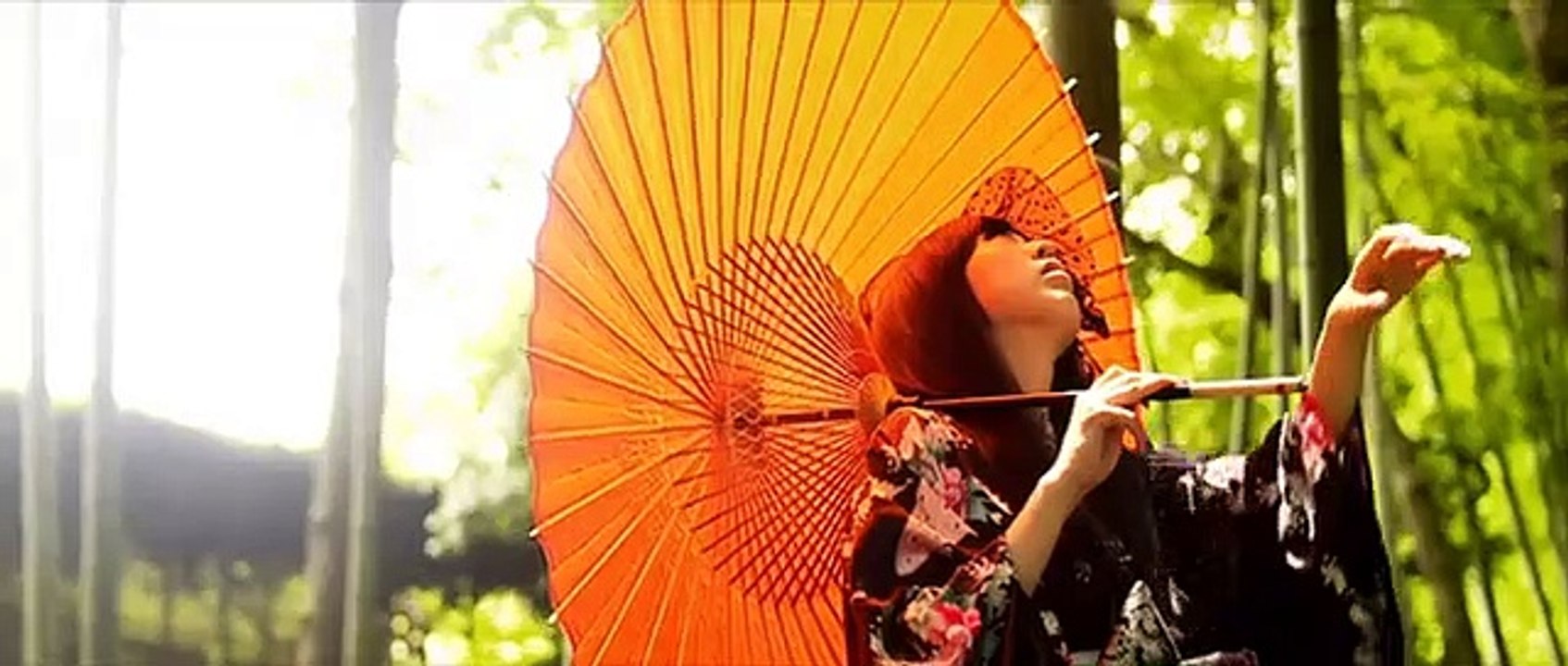 [DVD] TЁЯRA - ЁVOLUTIФN (PV Collection)