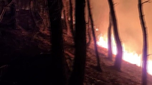 대구 달성군 가창면 야산 불...산림 당국 진화 중 / YTN