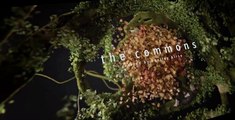 The Commons S01 E05