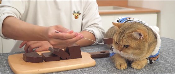 Chocolate and Milk Make This Delicious Dessert