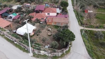 Hem kameralar hem de veteriner o anı yakaladı