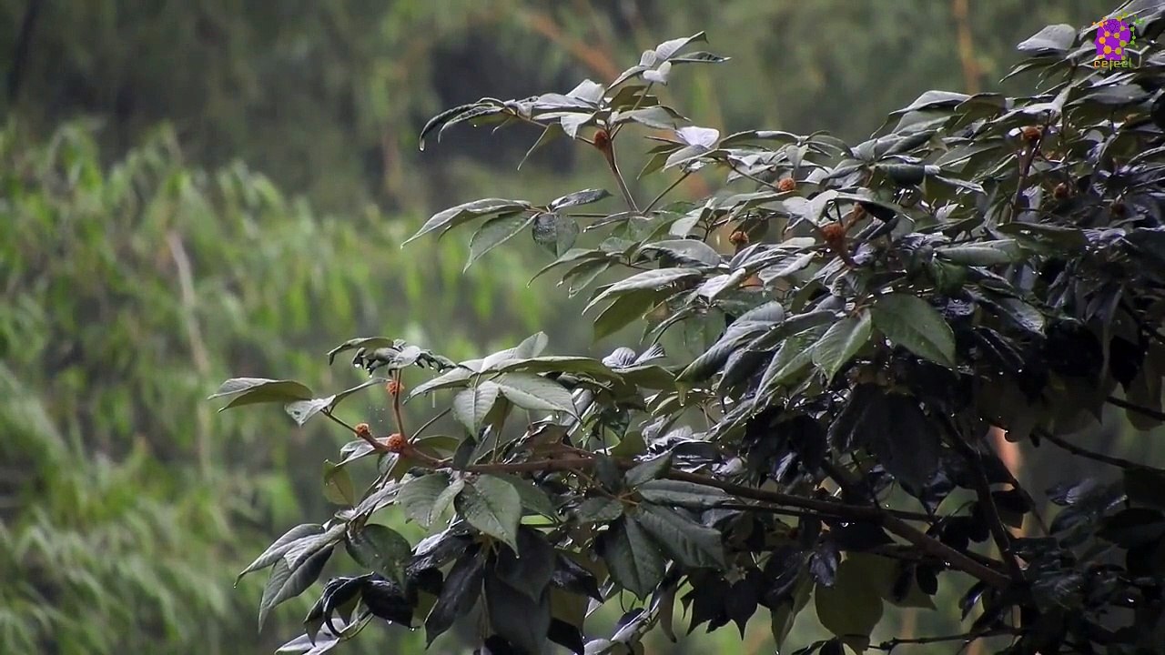 intro-logo-15-min-20220219-234849