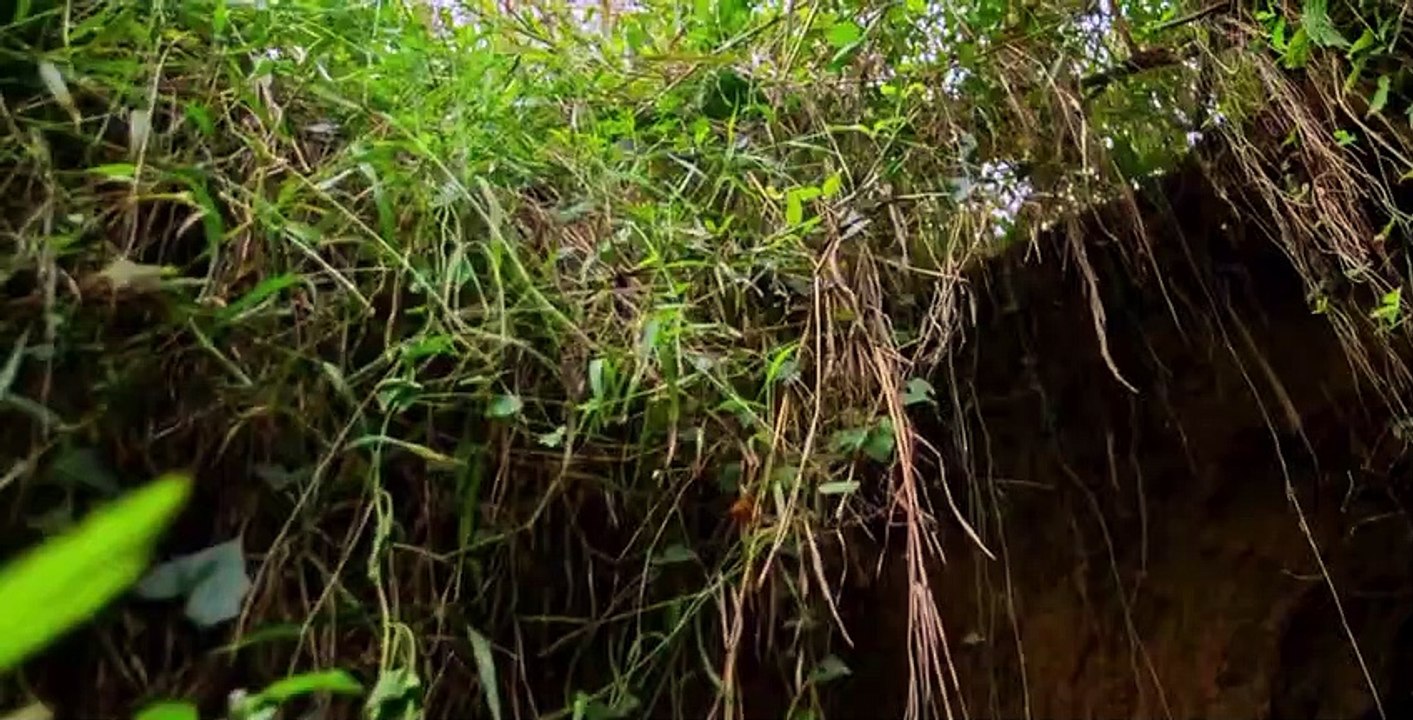 Lost Gold of World War II S02 E03