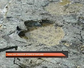 Tapak kaki dinasour ditemui di Scotland