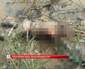 Disangka bau bangkai, rupanya mayat manusia