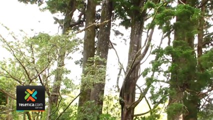 tn7-condiciones-clima-260222