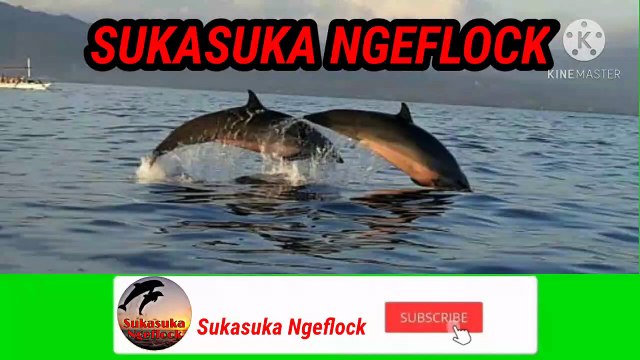 Melihat Lumba-lumba di Pantai Lovina Bali Utara _ Dolphins In Lovina Beach North Bali