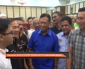 Rundingan masalah eksport burung walit ke China hampir selesai