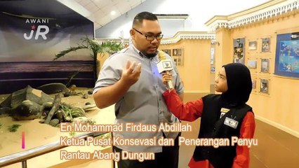 #AWANIJr: Kepupusan Penyu Belimbing