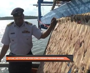 Sotong jadi punca nelayan asing ceroboh perairan negara