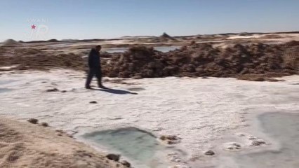 #AWANIJr: Jom ke Tasik Garam Siwa , Mesir