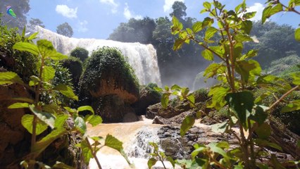 Blue Nile • Remedy Piano For A Positive Morning At The Waterfall • Official Soundtrack Music by Hume