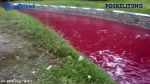 Heboh Air Sungai Berubah Merah di Tanggalrejo Jombang Warga Penasaran