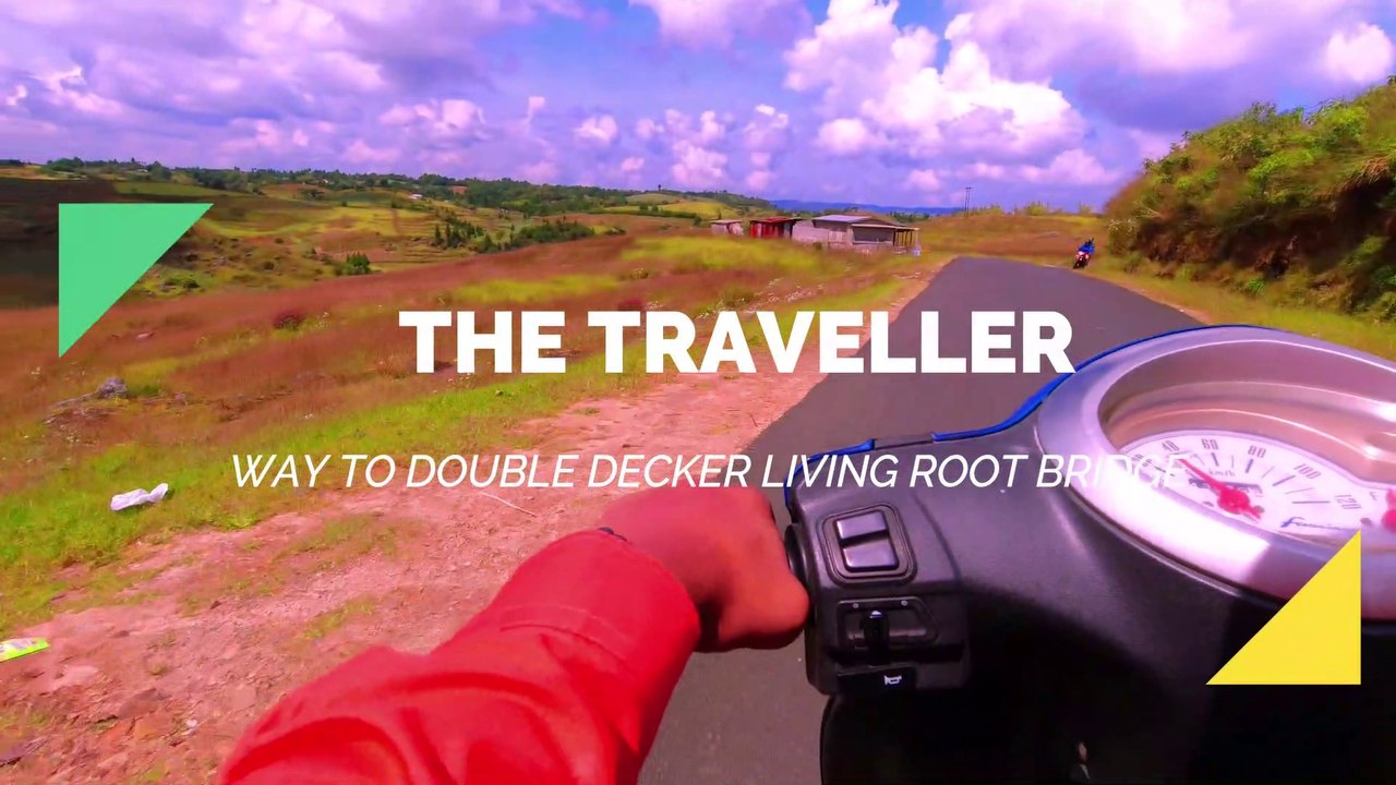 Double Decker Living Root Bridge |Meghalaya |Tyrna Village |Meghalaya travel vlog| Meghalaya Tour guide|The traveller|Kolkata to meghalaya| India|